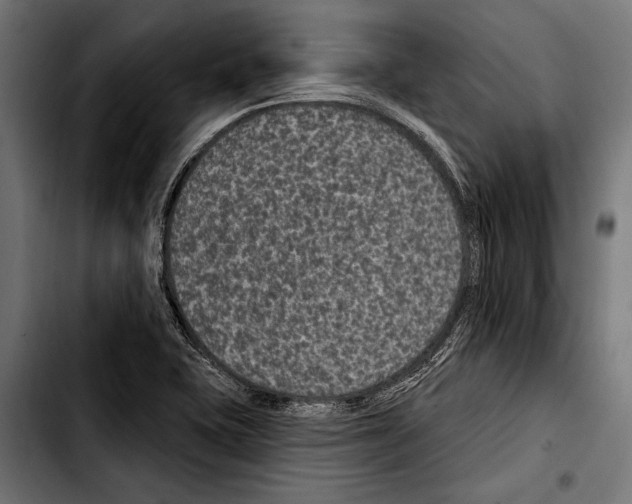 X0000103321415200810171351