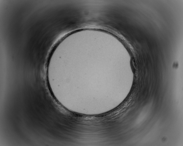 X0000103321416200810171351