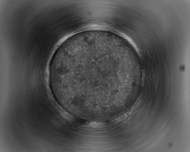 X0000103321419200810171351