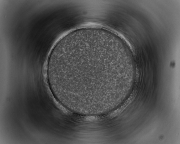 X0000103321421200810171351