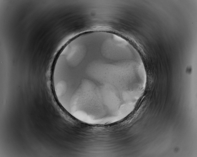 X0000103321422200810171351