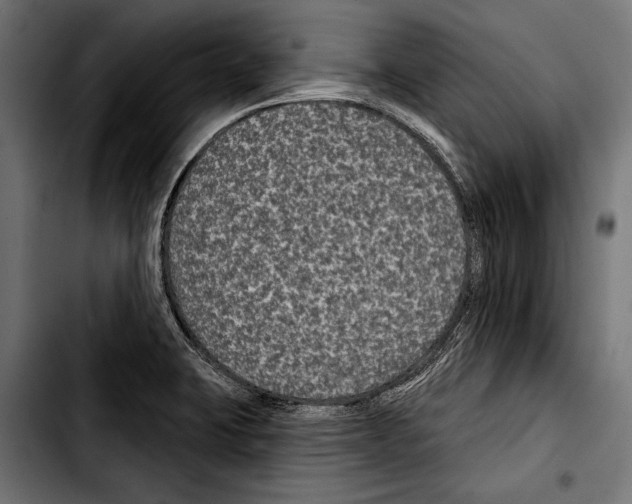 X0000103321423200810171351