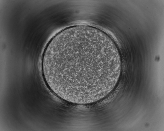 X0000103321424200810171351