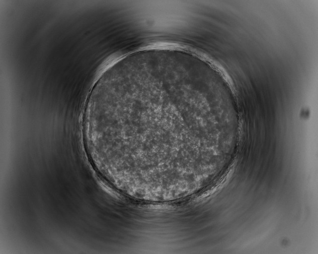X0000103321425200810171351