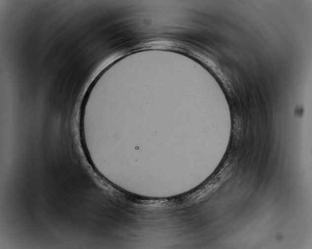 X0000103321426200810171351