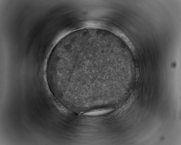 X0000103321427200810171351