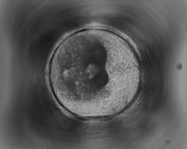 X0000103321429200810171351
