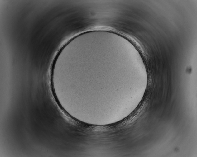 X0000103321430200810171351