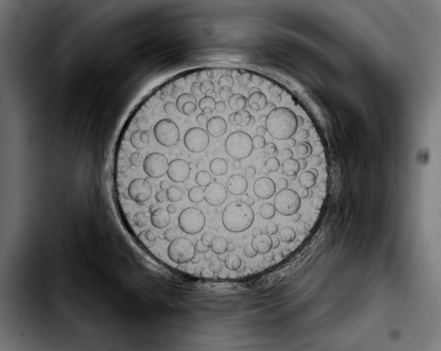 X0000103321432200810171351