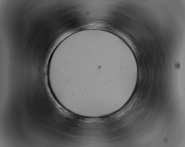 X0000103321434200810171351