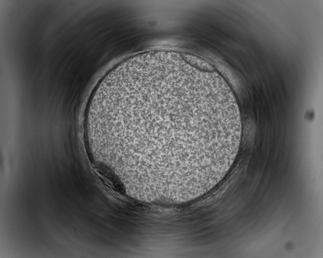 X0000103321435200810171351