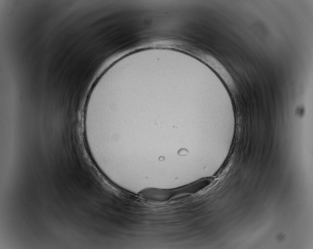 X0000103321436200810171351