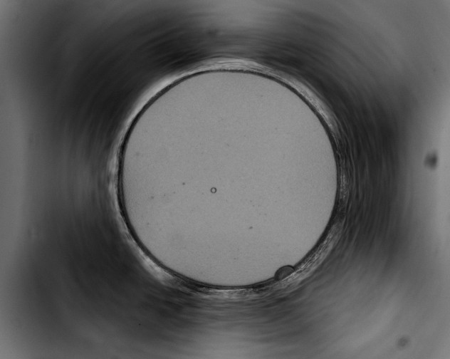 X0000103321438200810171351