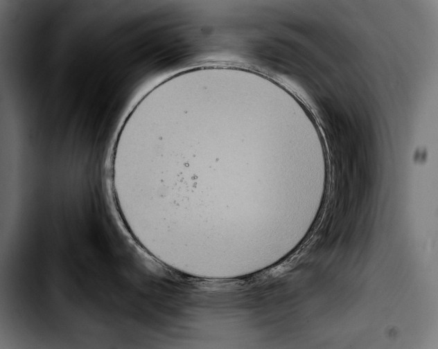 X0000103321440200810171351