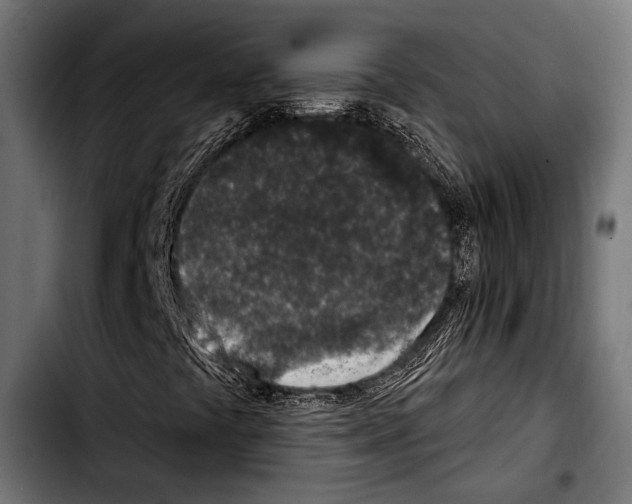 X0000103321441200810171351