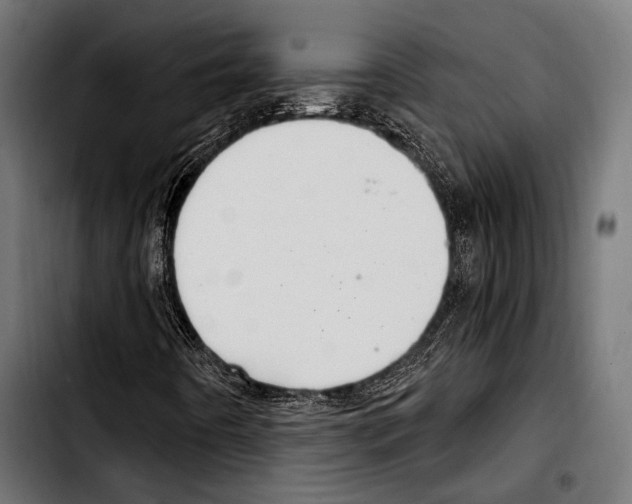X0000103321442200810171351