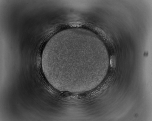X0000103321444200810171351