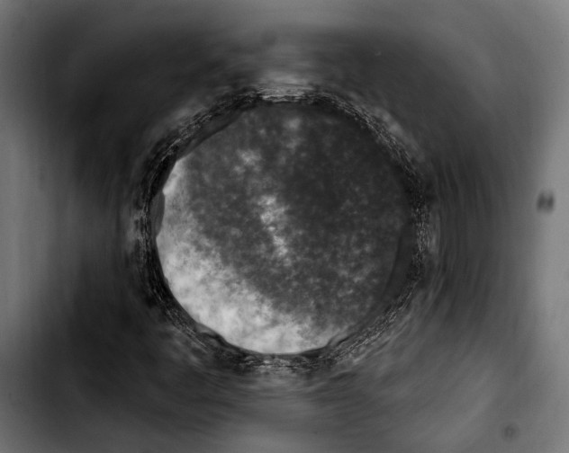 X0000103321445200810171351