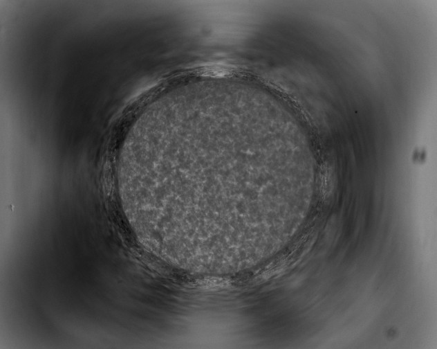 X0000103321446200810171351