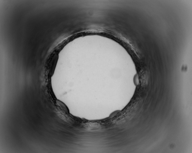 X0000103321448200810171351