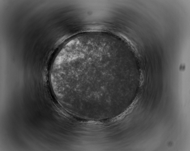 X0000103321449200810171351