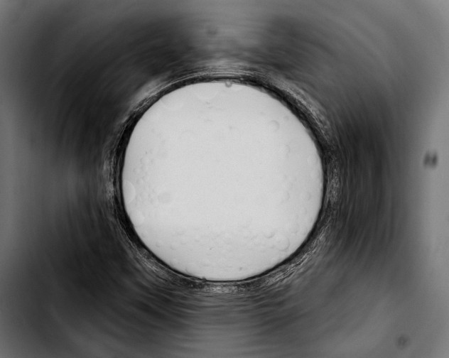 X0000103321451200810171351