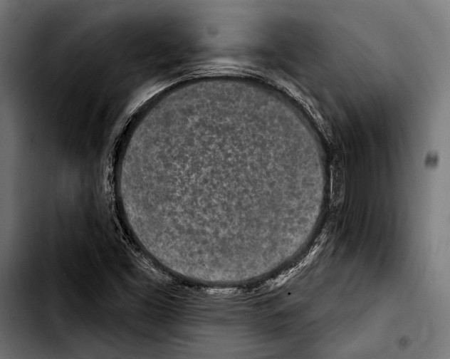 X0000103321453200810171350