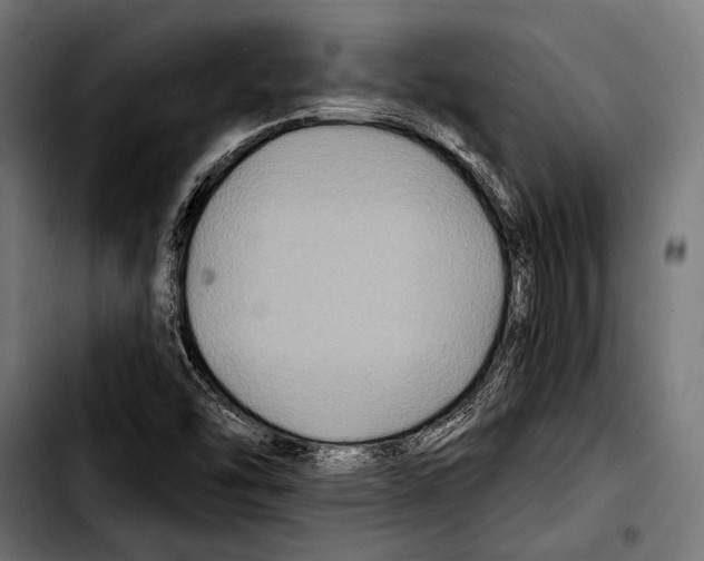 X0000103321454200810171350