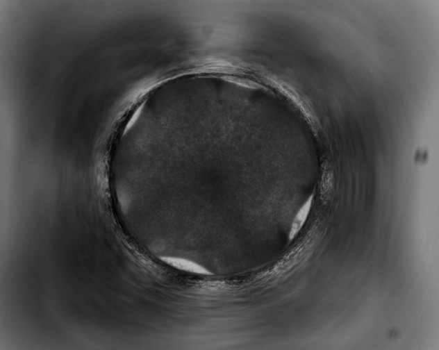 X0000103321455200810171350
