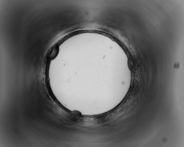 X0000103321456200810171350
