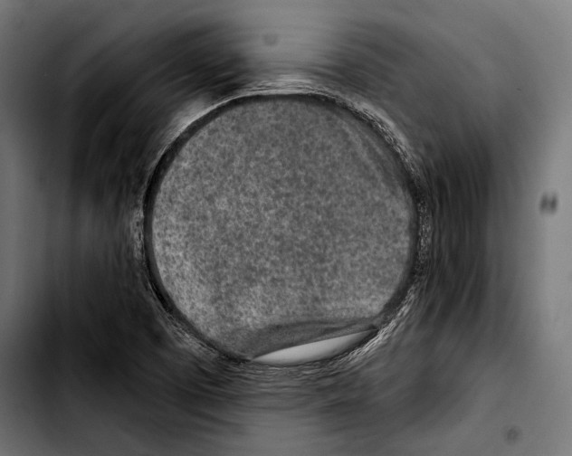 X0000103321457200810171350