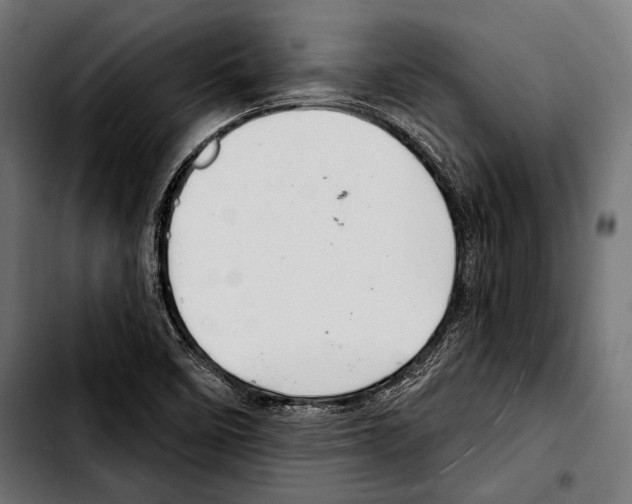 X0000103321458200810171350