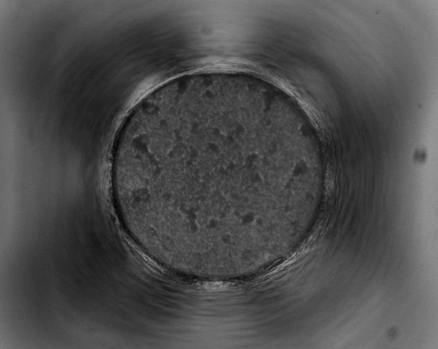 X0000103321459200810171350