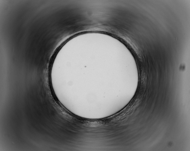 X0000103321460200810171350