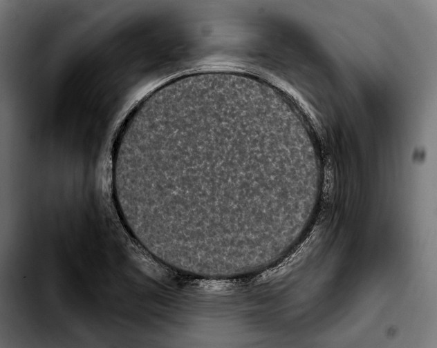X0000103321461200810171350