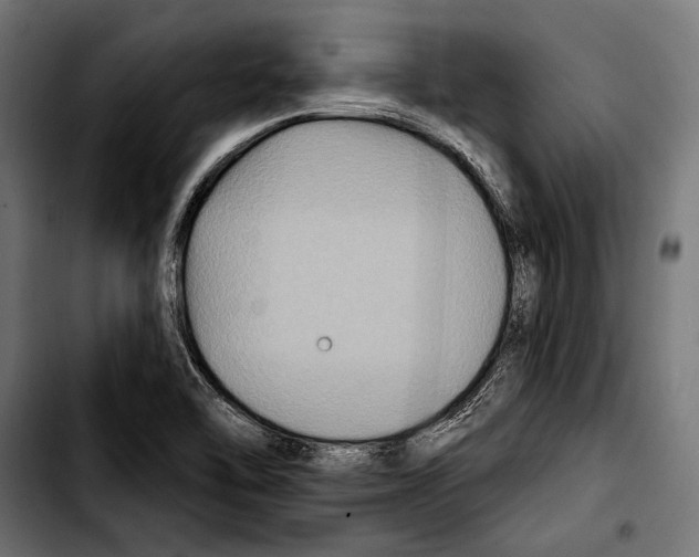 X0000103321462200810171350