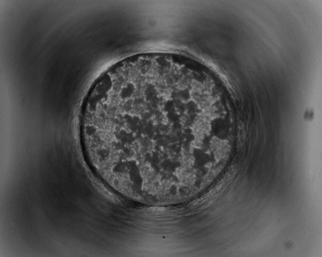 X0000103321463200810171350
