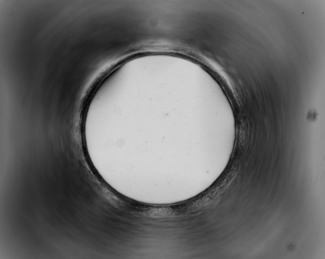 X0000103321464200810171350