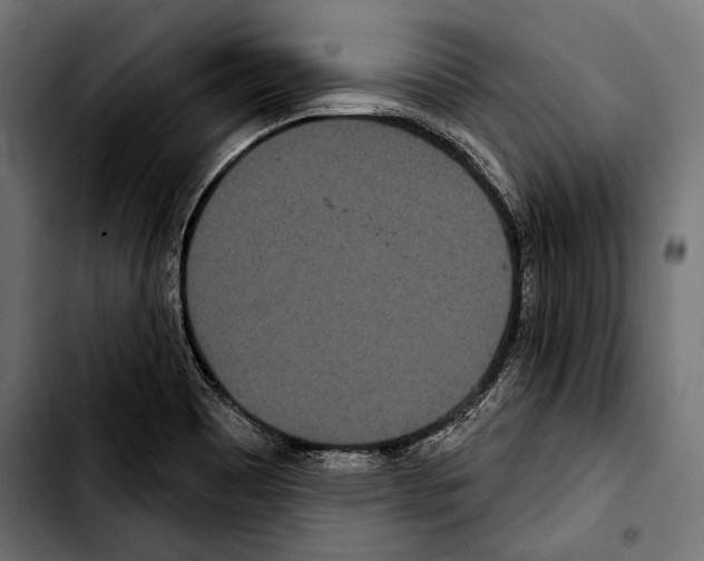 X0000103321465200810171350