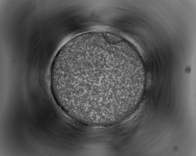 X0000103321467200810171350