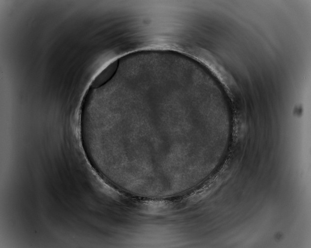 X0000103321468200810171350