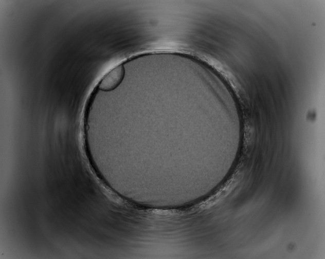 X0000103321469200810171350