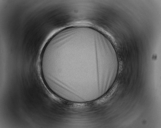 X0000103321470200810171350