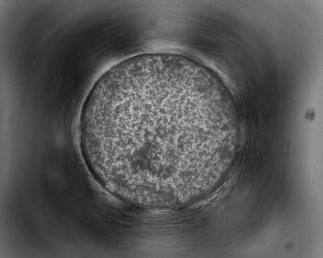 X0000103321471200810171350