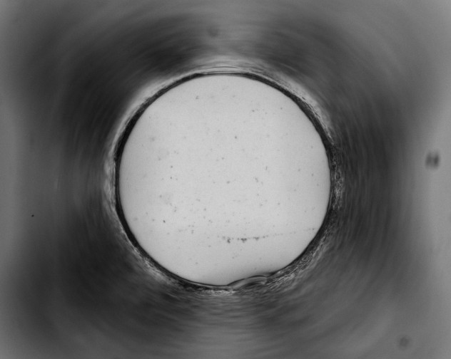 X0000103321472200810171350