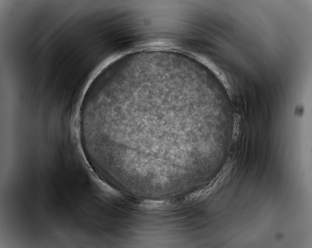 X0000103321474200810171350