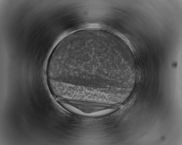 X0000103321475200810171350