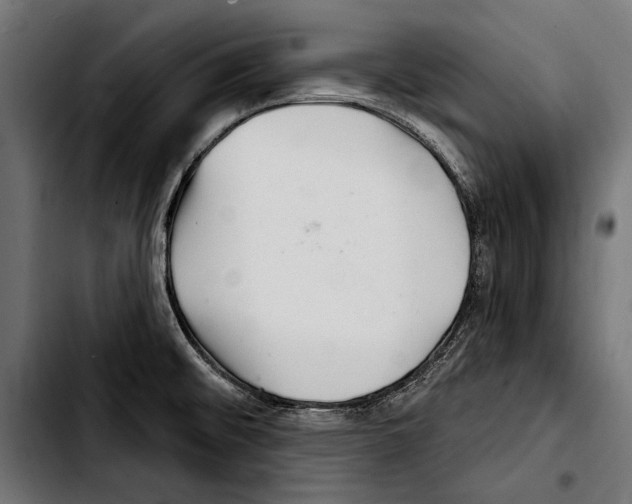 X0000103321476200810171350