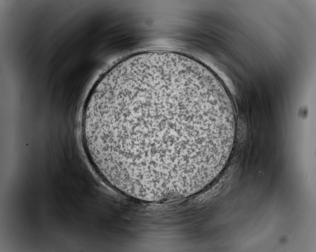 X0000103321477200810171350