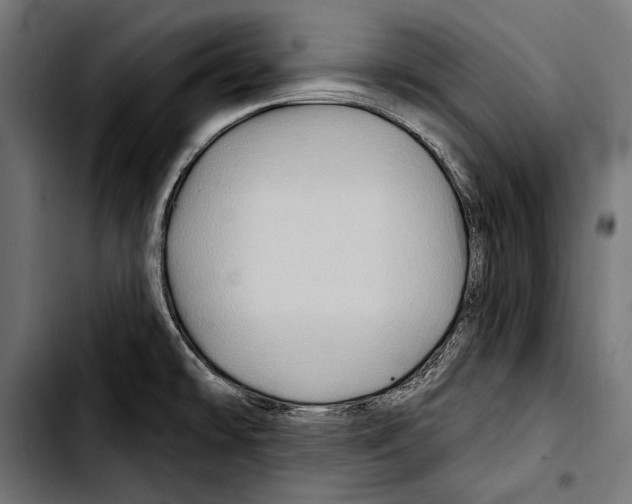 X0000103321478200810171350